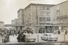 IMG_8951