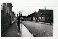 FastFoto_0925_a