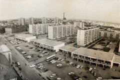 IMG_8987