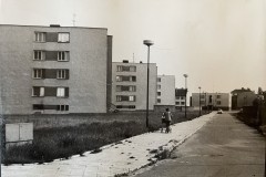 IMG_8946