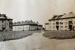 IMG_8937