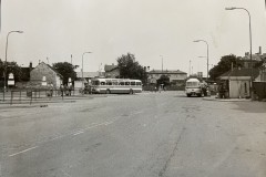 IMG_8982