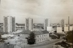 IMG_8942