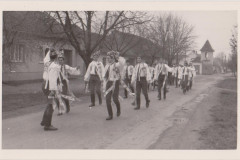 Stará Břeclav chasa