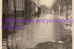 Břeclav Stromořadní