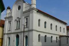 synagoga2013