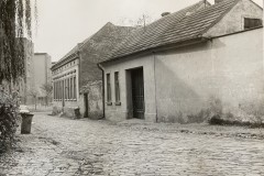 IMG_8959